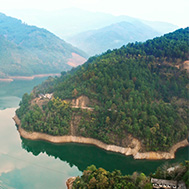  精于茶，良心茶遵循傳統制茶工藝