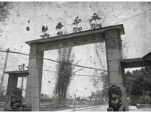 勐海茶廠(chǎng)老照片