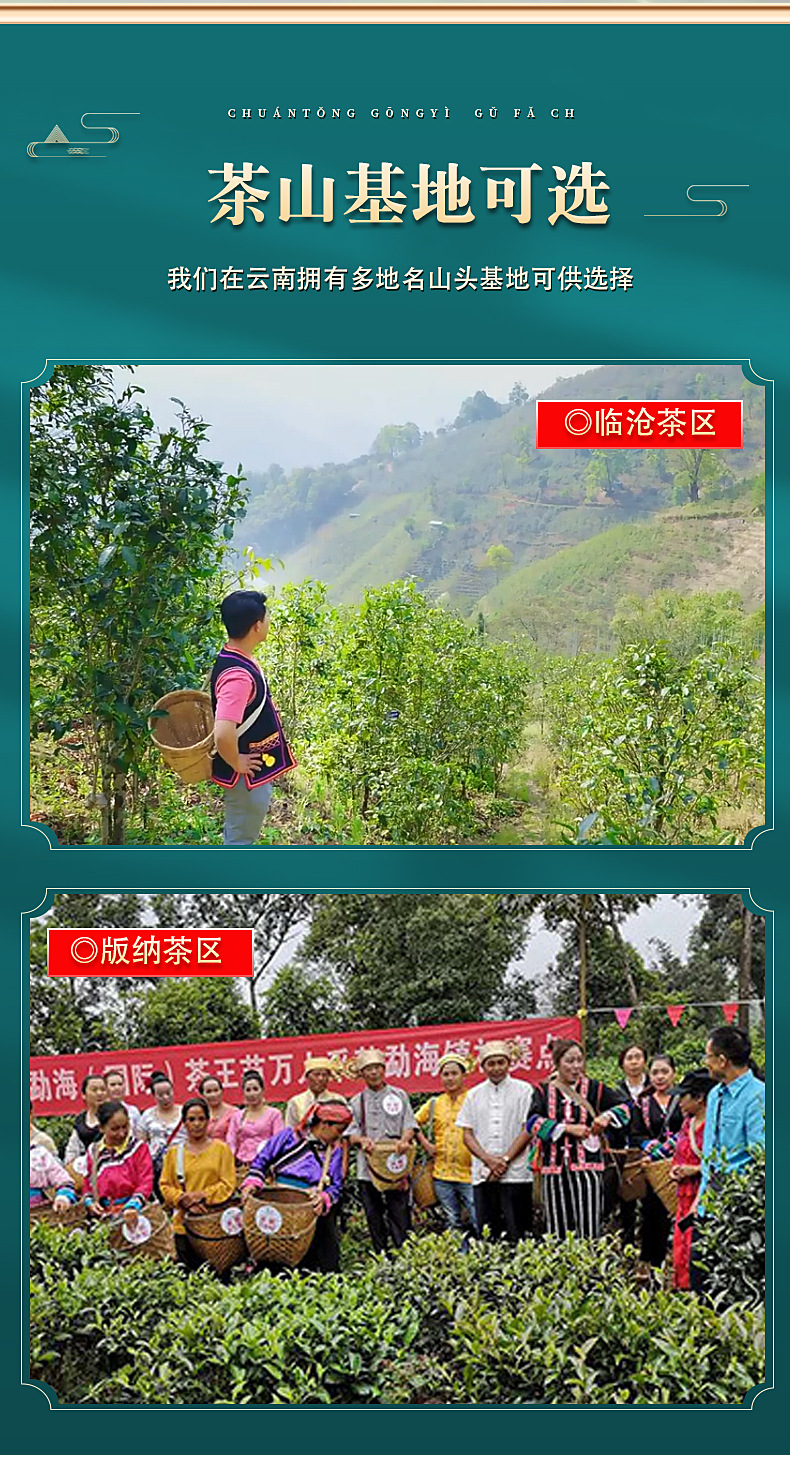 普洱茶實(shí)力廠家