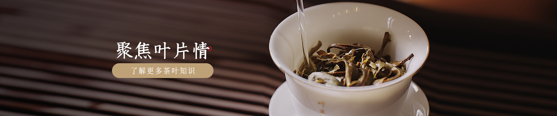 葉片情：聚焦葉片情，了解更多茶葉知識(shí)