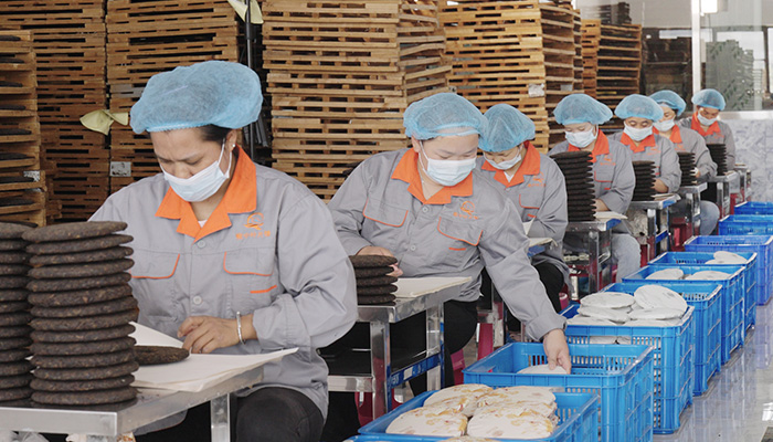 普洱生茶廠家葉片情介紹曬紅茶和滇紅茶區別